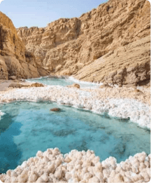 تور مجازی دانشگاه